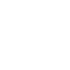 euro